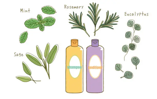 Vector illustration of Organic Shampoo - Various Herb Set