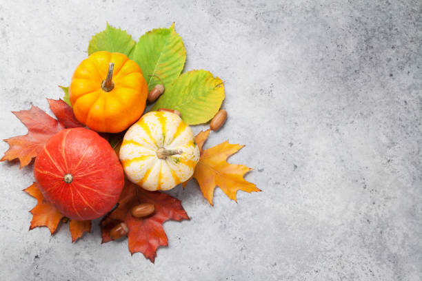 istock Autumn still life with pumpkins 1155571979