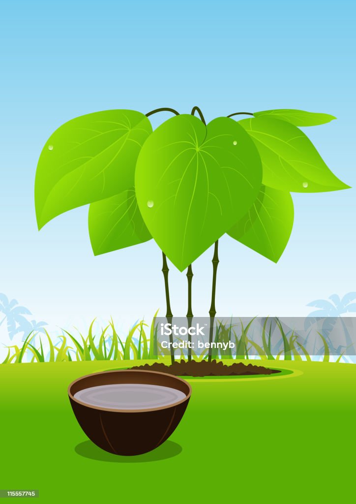 Kava planta y su jugo en tazón de madera - arte vectorial de Kava Kava libre de derechos
