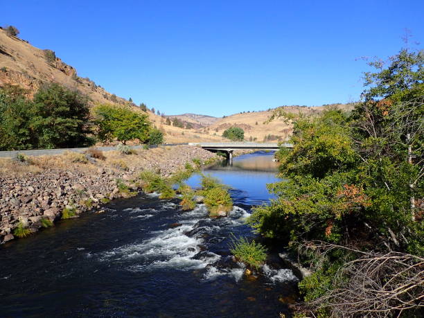 istock river in the wilderness 001 1155582022