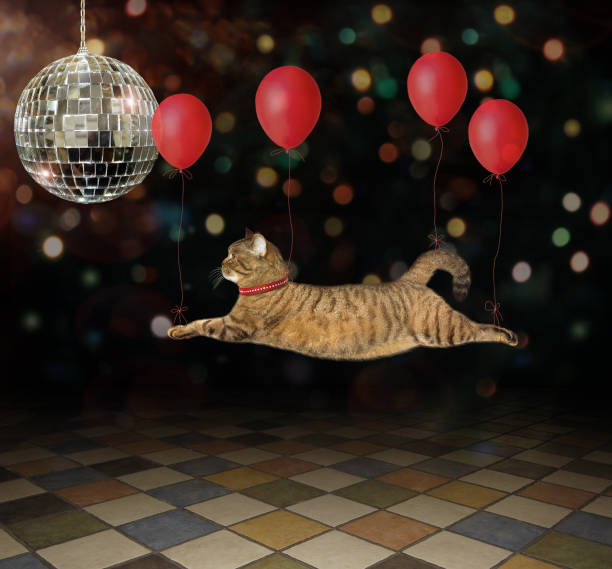 istock Cat flying by red balloons in the circus 2 1155582081