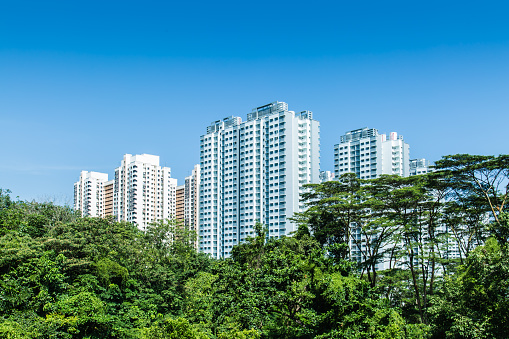 Singapore residential building in green forest skyline