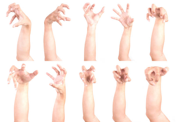 istock Multiple Male Caucasian hand gestures isolated over the white background, set of multiple images. ZOBIES HAND. 1155586455