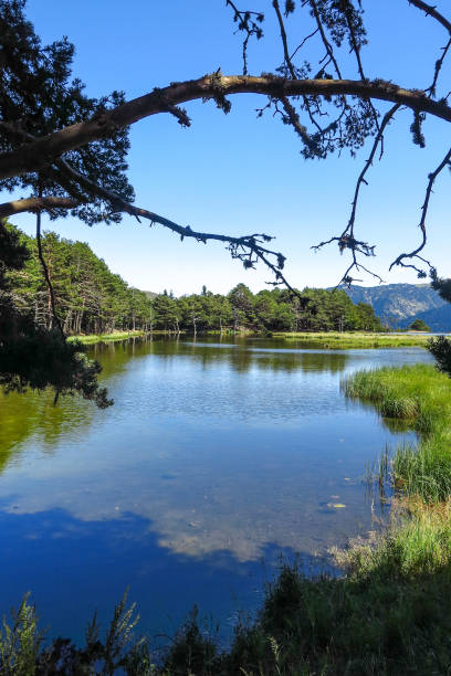 istock Aran valley in the Catalan Pyrenees, Spain 1155586756
