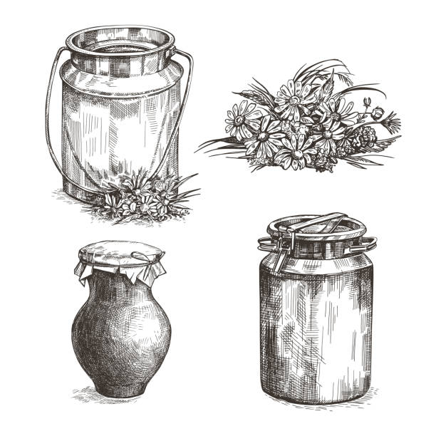 illustrations, cliparts, dessins animés et icônes de vache, bidon de lait, cruche en faïence et fleurs sauvages. ensemble d’illustrations d’esquisse. - crock pot