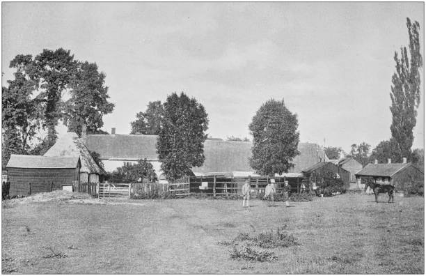 античный винтажный черно-белое фото: британский загородный дом - old obsolete house black and white stock illustrations