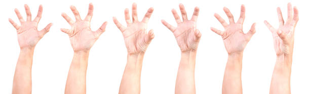 istock Multiple Male Caucasian hand gestures isolated over the white background, set of multiple images. ZOBIES HAND. 1155588828