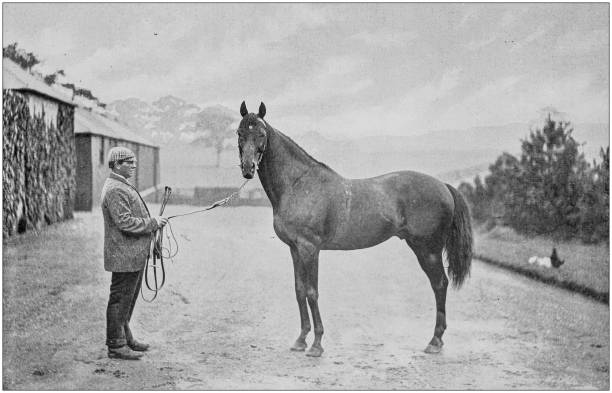 istock Antique vintage black and white photo: Racing horse 1155588834