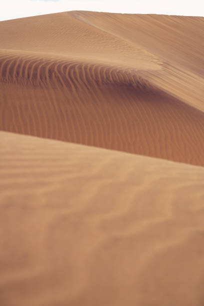 istock Sand formations on the majestic sand dunes. 1155588861