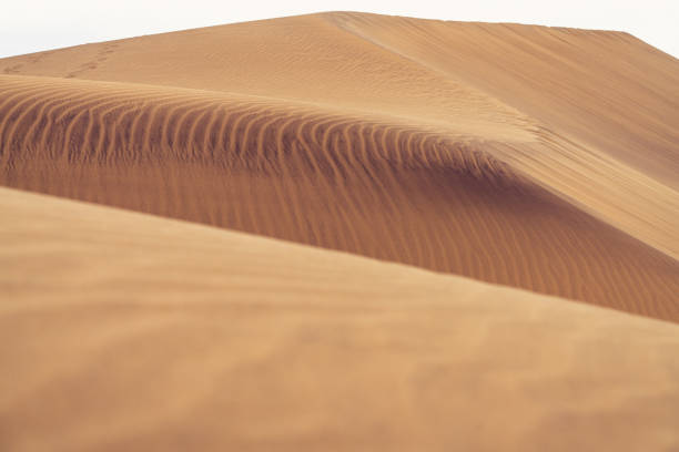istock Sand formations on the majestic sand dunes. 1155588889