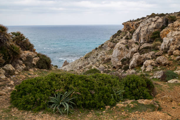 istock Small rocky bay in Mallorca 1155588979