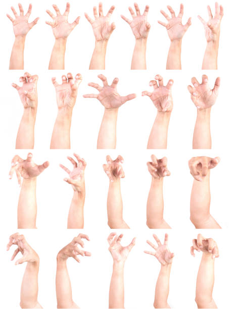 istock Multiple Male Caucasian hand gestures isolated over the white background, set of multiple images. ZOBIES HAND. 1155589663