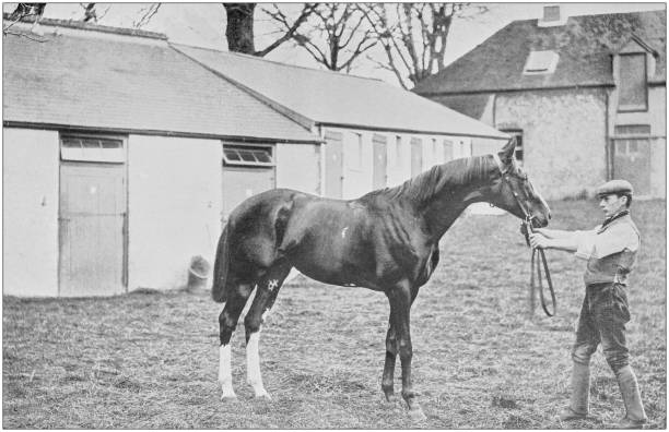 istock Antique vintage black and white photo: Racing horse 1155589999
