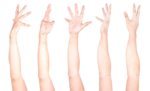 istock Multiple Male Caucasian hand gestures isolated over the white background, set of multiple images. 1155590039