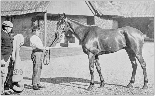 istock Antique vintage black and white photo: Racing horse 1155591332