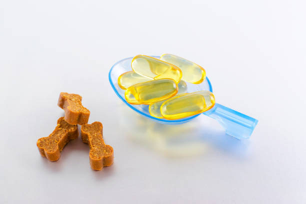 omega oil capsules for animals with treats like bones omega oil capsules for animals with treats like bones, closeup animal digestive system stock pictures, royalty-free photos & images