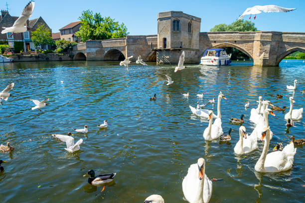 istock River Great Ouse at St Ives Cambridgeshire 1155601168