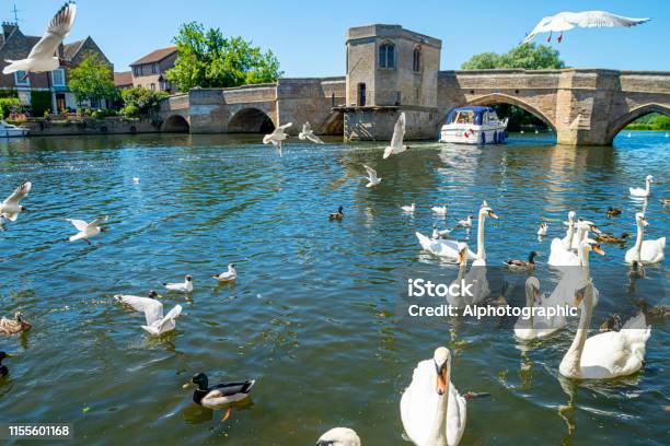 River Great Ouse At St Ives Cambridgeshire Stock Photo - Download Image Now - St. Ives - Cambridgeshire, 15th Century Style, Ancient