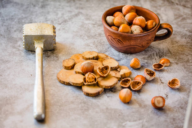 istock Hazelnuts in the shell in a clay cup and nutcracker. On a gray background. 1155606185