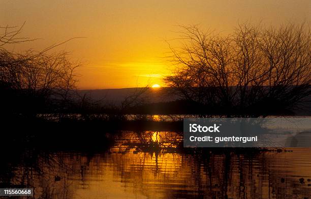 Final De Un Safaridía En Kenia Foto de stock y más banco de imágenes de Acacia - Acacia, Agua, Aire libre