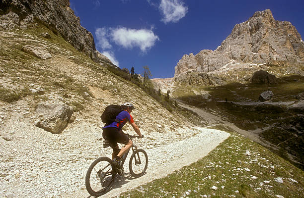 singolo maschio ciclista mentre attraversa in salita, dolomiti, italia - bergwiese foto e immagini stock