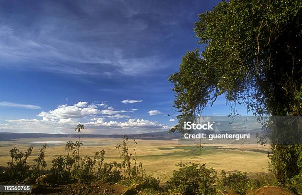 Widok W Ngorongoro Krater Tanzania - zdjęcia stockowe i więcej obrazów Afryka - Afryka, Afryka Wschodnia, Bez ludzi
