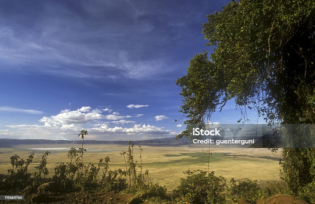 Ngorongoro vista para a cratera, Tanzânia - Foto de stock de Acaso royalty-free