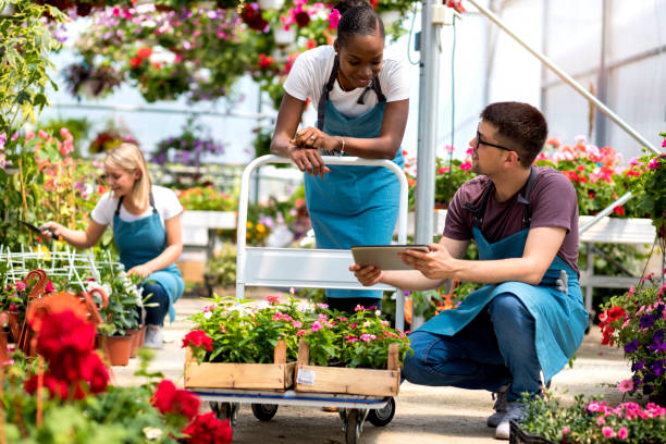 istock Working in a garden center 1155611232