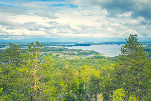 istock Summer landscape from Sotkamo, Finland. 1155611390