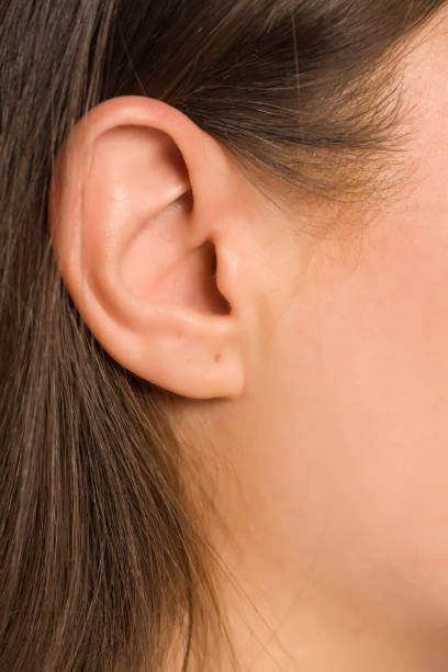 istock Closeup of female ear 1155612506