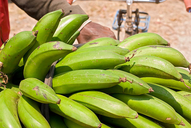 Cooking bananas represent a major source of food in the countries of East and Central Africa. 
