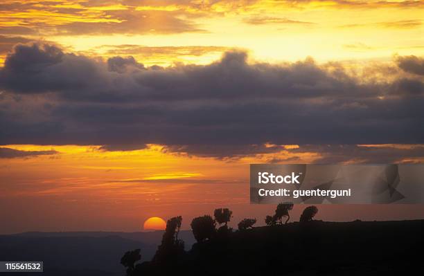 Africana Pôr Do Sol Nas Montanhas Simien Etiópia - Fotografias de stock e mais imagens de Etiópia - Etiópia, Paisagem - Cena Não Urbana, Acácia
