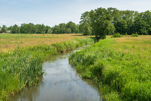 The small river Drentsche Aa in Dutch national park Drentsche Aa. Oudemolen, Holland.