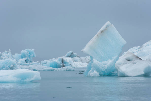 istock Melting floating icebergs in Jokulsarlon, Iceland 1155617242