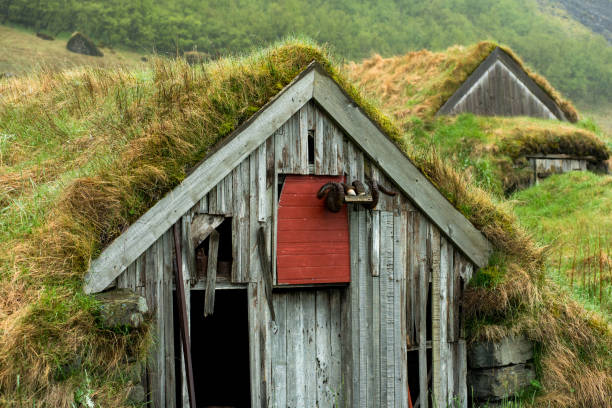 istock Abandoned turf houses in Nupsstadur, Iceland 1155617246