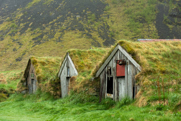 Abandoned turf houses in Nupsstadur, Iceland Abandoned historic turf house farm buildings in Nupsstadur, Iceland sod roof stock pictures, royalty-free photos & images
