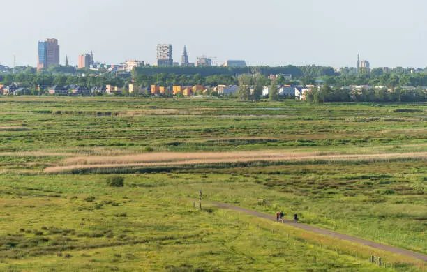 Skyline of the Dutch city of Groningen seen from an observation tower in nature reserve 'de Onlanden'.