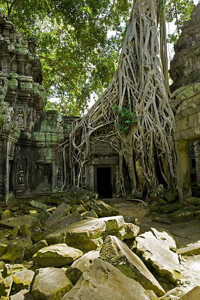 istock Inside the Ta Phrom Temple, Angkor, Cambodia 115561919