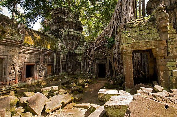 istock Inside the Ta Phrom Temple, Angkor, Cambodia 115562086