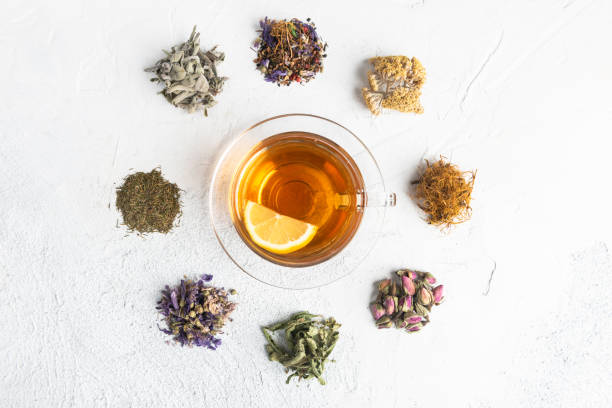 herbal tea - ingredient fennel food dry imagens e fotografias de stock