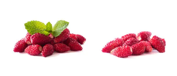 Fresh strawberries lay on white background. Background of wildberries. Ripe wild strawberry on a white background. Wild strawberries with copy space for text.