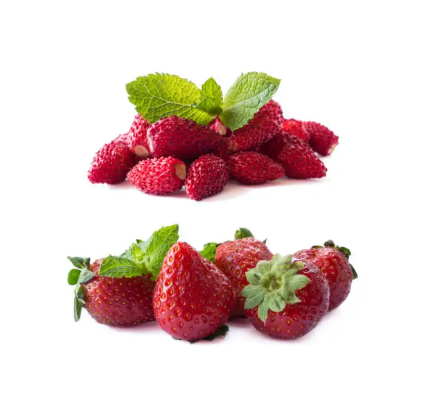 Fresh strawberries lay on white background. Background of wildberries and strawberries isolated on white. Ripe wild strawberry on a white background. Wild strawberries and strawberries with copy space for text.
