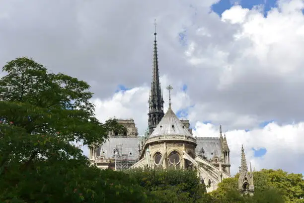 Paris, France. View of Notre Dame Cathedral from Seine river walk with trees. Roofs and Spire detail.
