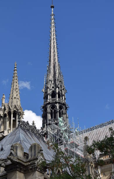 Notre Dame Spire (La Fleche) and lead clad wooden roofs. Paris, France. Paris, France. View of Notre Dame Cathedral from Seine river walk with trees. Roofs and Spire detail. fleche stock pictures, royalty-free photos & images