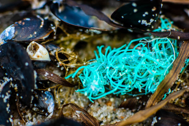 sea pollution on beach with a trash fishing net