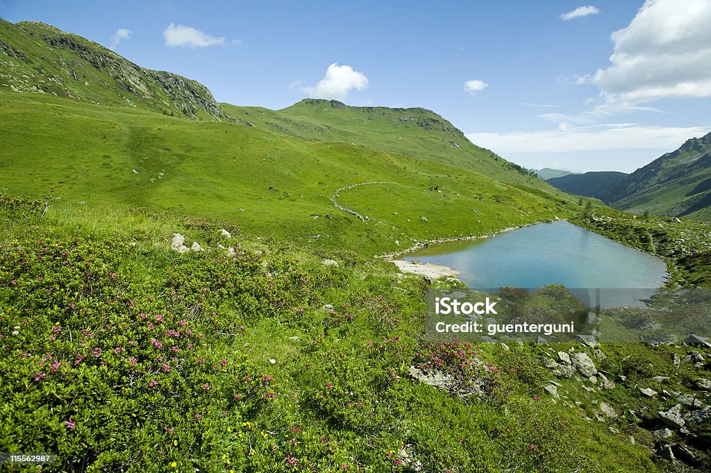 Panorama-Blick über alpine Wiesen und die Berge der Alpen - Lizenzfrei Alpen Stock-Foto