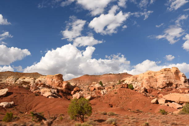 istock road Scenic Byway in Capitol Reef 1155630123