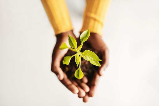 High angle shot of a woman holding a plant growing out of soil against a white background