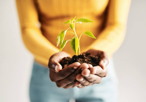 istock Green is the colour of growth 1155630239