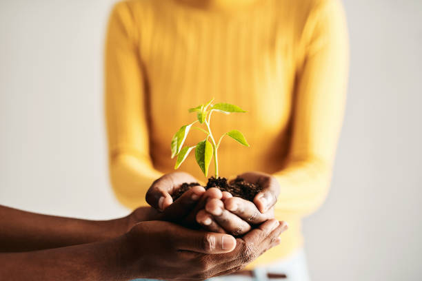 istock It makes sense to be sustainable 1155630240
